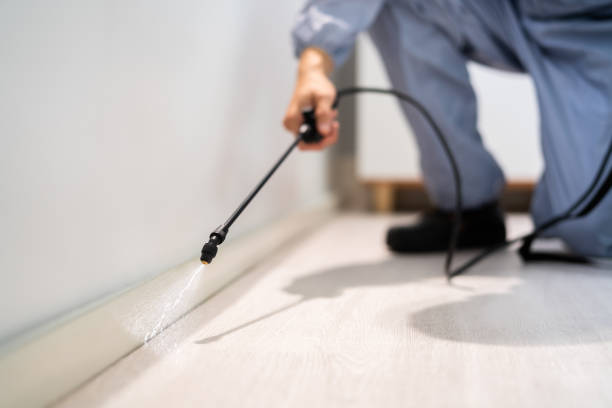 Licensed Mosquito Control service in Collinsville, VA - Show Me Pest Control