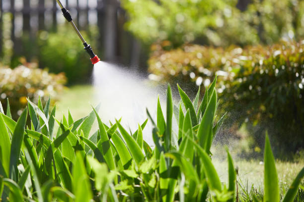 24/7 Emergency Mosquito Control experts in Collinsville, VA