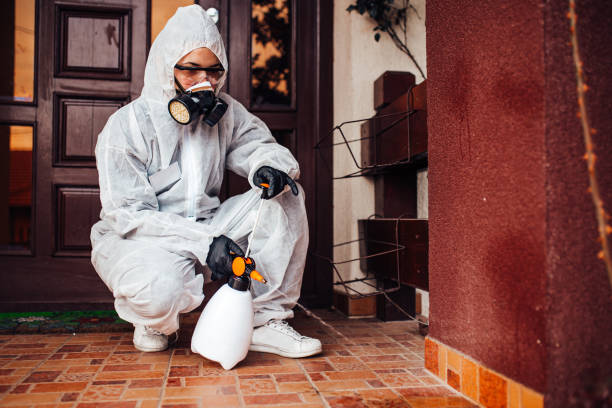 Reliable Mosquito Control contractor in Collinsville, VA by Show Me Pest Control