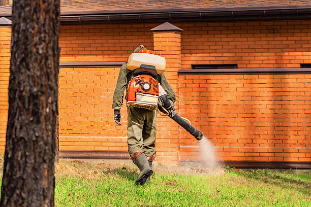 Top rated local Mosquito Control specialists in Collinsville, VA